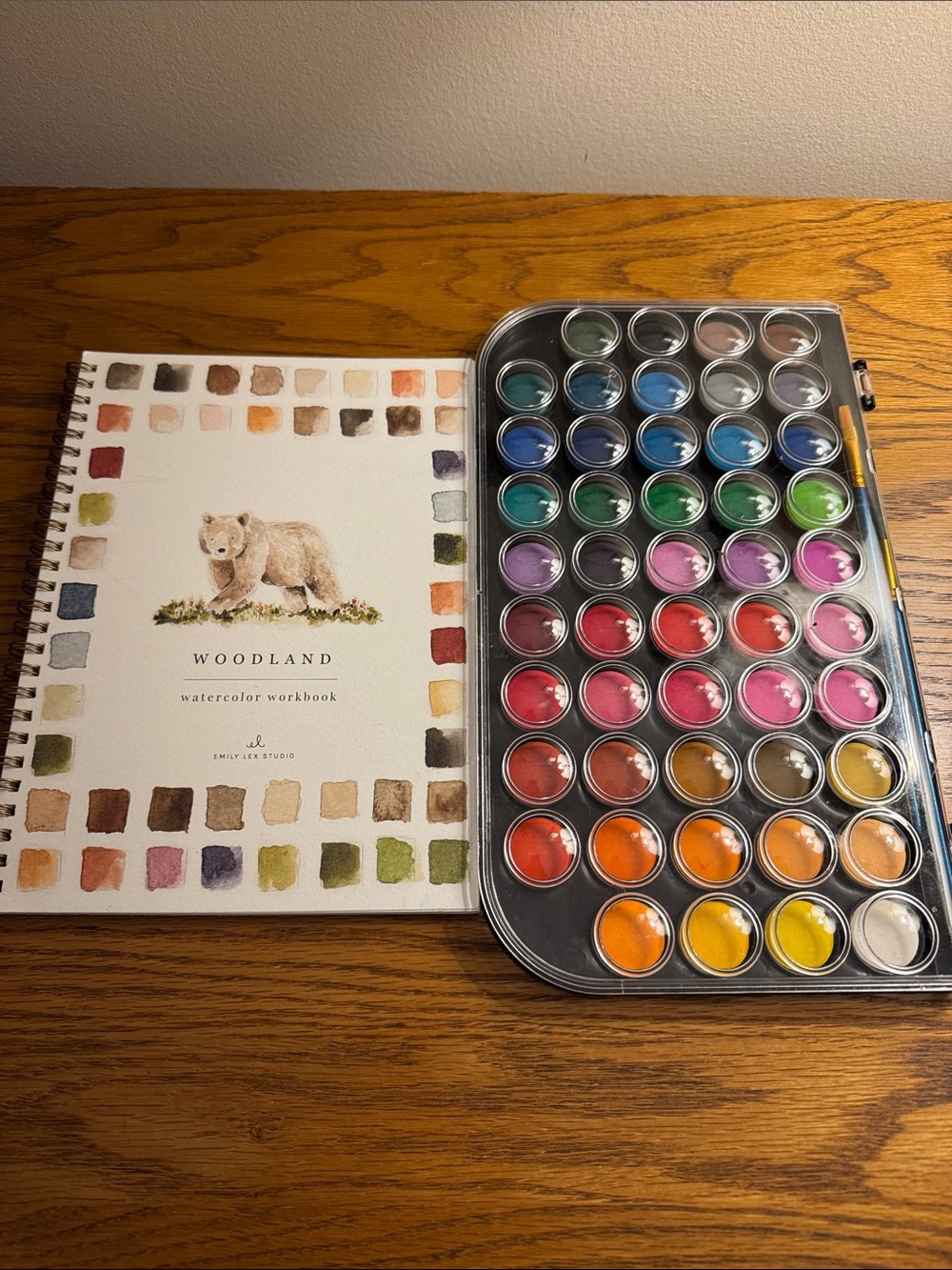 Art-wager color paint set an book of art pictures